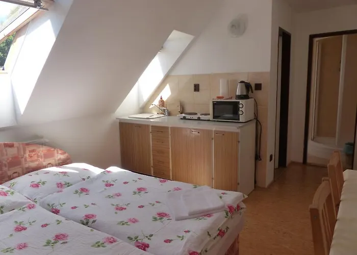 Bizoni Dvur 3* Řetenice