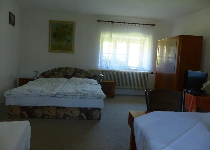 Bizoni Dvur ゲストハウス Řetenice