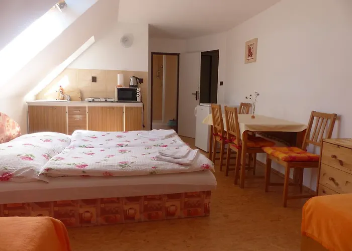 Bizoni Dvur 3* Řetenice